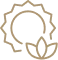 icon-results