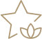 icon-star
